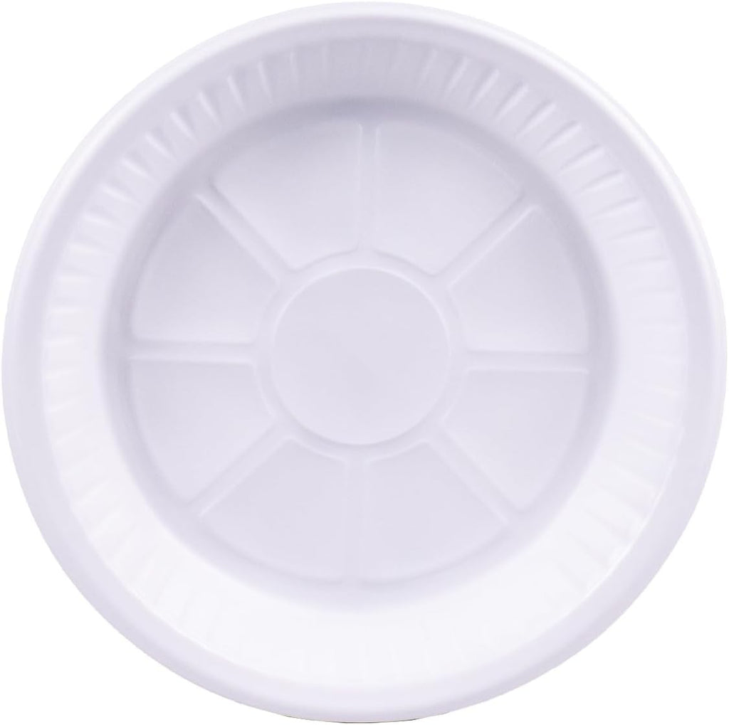 Sunny 10-Inch Plastic Plates – Pack of 25, BPA-Free