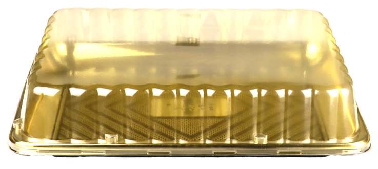 Sunny Golden Rectangular Cake Container with Lid : Pack of 4
